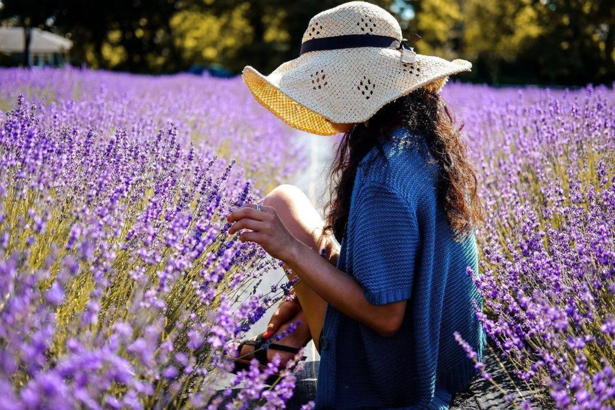 L'Oustaou Du Luberon Et Spa Villelaure Ngoại thất bức ảnh