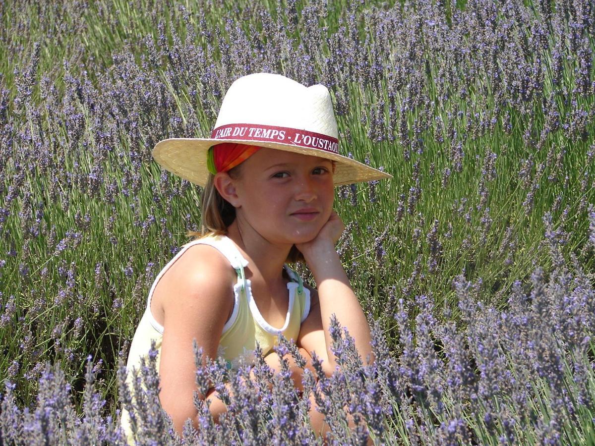 L'Oustaou Du Luberon Et Spa Villelaure Ngoại thất bức ảnh
